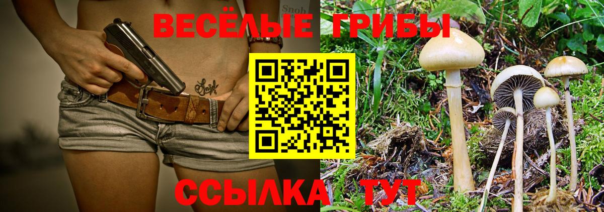 Псилоцибиновые грибы MAGIC MUSHROOMS  Вход с VPN  Домодедово 